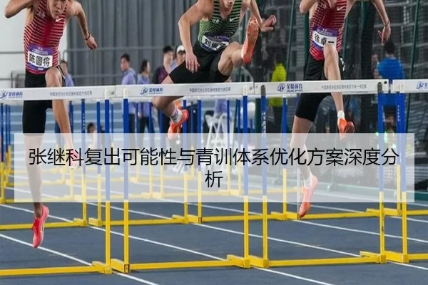 张继科复出可能性与青训体系优化方案深度分析